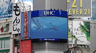 东京涩谷十字路口DHC Channel电子屏
